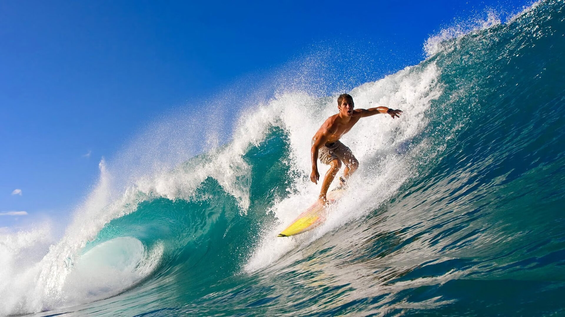 个人纪录：打破记录的超级表现瞬间，个人记录怎么写